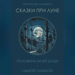 Сказки при луне. Часть первая, аудиокнига Елизаветы Порфировой. ISDN69179950