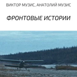 Фронтовые истории - Аудиоагент ЛитРес Чтец