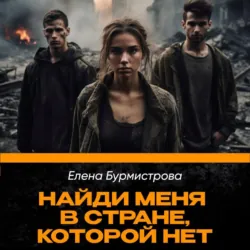 Найди меня в стране, которой нет - Елена Бурмистрова
