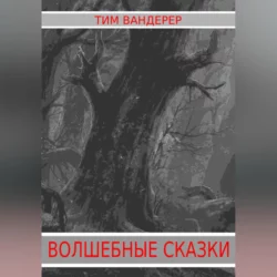 Волшебные сказки - Тим Вандерер