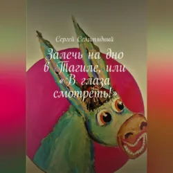 Маленькие и неприметные. Заказ на заказчицу, аудиокнига . ISDN69208513