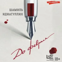 До февраля - Шамиль Идиатуллин