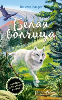 Король медведей, аудиокнига . ISDN70597489