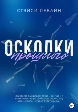 Он моя цель, аудиокнига Стэйси Левайн. ISDN63010703