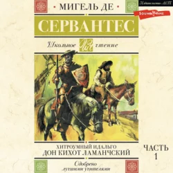 Хитроумный идальго Дон Кихот Ламанчский. Часть 1, Мигель де Сервантес Сааведра