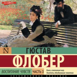 Воспитание чувств. Часть 3 - Гюстав Флобер