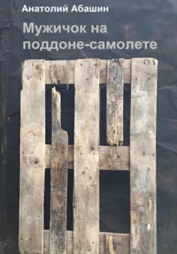 Поддон-самолет, аудиокнига . ISDN70662874