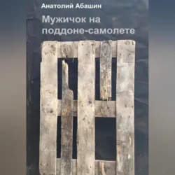 Поддон-самолет, аудиокнига . ISDN70662874