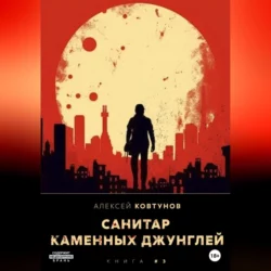 Санитар каменных джунглей 2, аудиокнига Алексея Ковтунова. ISDN69256711