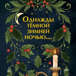 Однажды темной зимней ночью - Киран Харгрейв Однажды темной зимней ночью - Киран Харгрейв