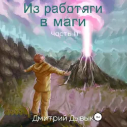 Из работяги в маги. Часть 3 - Дмитрий Дывык
