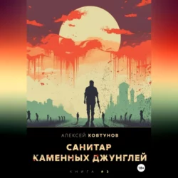 Санитар каменных джунглей 2, аудиокнига Алексея Ковтунова. ISDN69256711