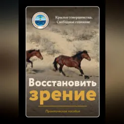 Введение в медитацию, аудиокнига Крыльев Совершенства. ISDN68787921