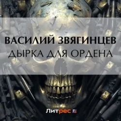 Дырка для ордена - Василий Звягинцев