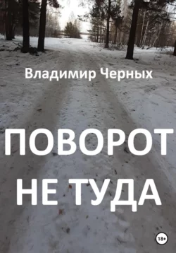 Бесконечные ночные размышления, или Размышления о бесконечности, аудиокнига Владимира Романовича Черных. ISDN69286072