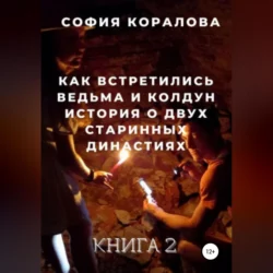 Детективное агентство «Новый шанс» 2, аудиокнига Софии Кораловой. ISDN71243587
