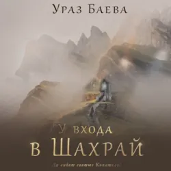 Илюза, аудиокнига . ISDN71134924