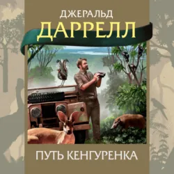 Говорящий сверток, аудиокнига . ISDN64254577
