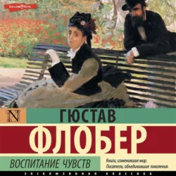Воспитание чувств - Гюстав Флобер