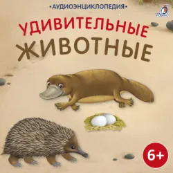 Аудиоэнциклопедия. Удивительные животные - Александр Тихонов