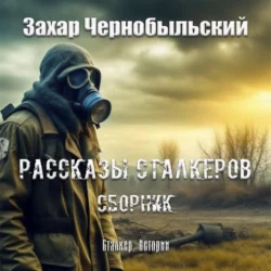 Сталкер. Истории. Дружба, аудиокнига Захара Чернобыльского. ISDN70507003