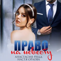На моих условиях, аудиокнига . ISDN71499451