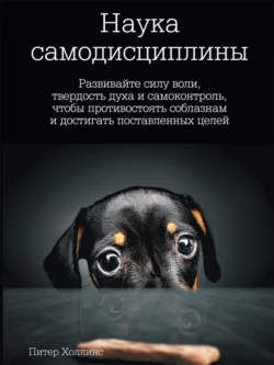 Наука самодисциплины. Развивайте силу воли, твердость духа и самоконтроль, чтобы противостоять соблазнам и достигать поставленных целей - Питер Холлинс Наука самодисциплины. Развивайте силу воли, твердость духа и самоконтроль, чтобы противостоять соблазнам и достигать поставленных целей - Питер Холлинс