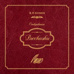 Рассказки - Владимир Куляев