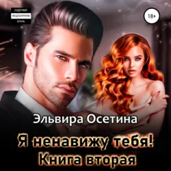 Два бандита для Плюшкиной, аудиокнига Эльвиры Осетиной. ISDN70676509