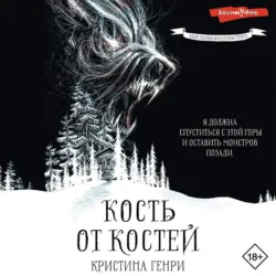Потерянный мальчишка. Подлинная история капитана Крюка, аудиокнига . ISDN43768245
