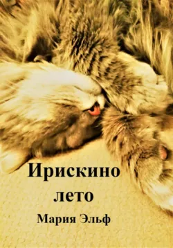 Тайна синей шали, аудиокнига . ISDN73447629