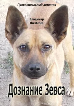 Мир и дух проектного капитализма, аудиокнига В. С. Назарова. ISDN33202365