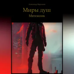 Миры душ. Падение Феникса-1, аудиокнига . ISDN67090764