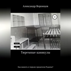 Воин Кармы. Часть 2. Орудие Провидения, аудиокнига Александра Воронцова. ISDN39142602