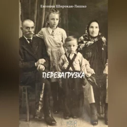 Перезагрузка, аудиокнига Евгении Широкой-Ляшко. ISDN69458068