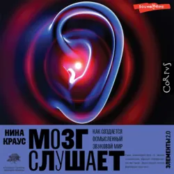Мозг слушает. Как создается осмысленный звуковой мир, Нина Краус
