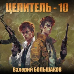 Целитель. Сопределье - Валерий Большаков
