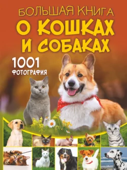 Большая книга о кошках и собаках. 1001 фотография, Дмитрий Смирнов