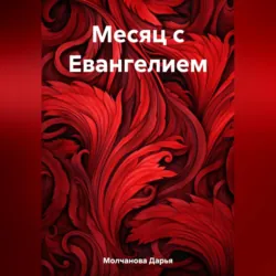 Мои размышления. Продолжение, аудиокнига . ISDN69830053