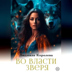 Слепой Страж скрытых земель, аудиокнига Нидейлы Нэльте. ISDN67918061