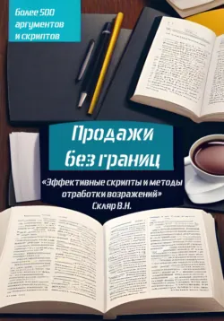 Продажи без границ: Эффективные скрипты и методы отработки возражений - Валерий Скляр