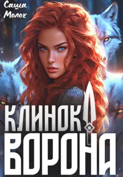 Клинок Ворона, аудиокнига . ISDN69549112
