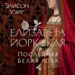 Шестая жена. Роман о Екатерине Парр, аудиокнига Элисон Уэйр. ISDN66876118