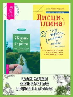 Воспитание без стресса: как вырастить ответственных детей и жить своей жизнью, аудиокнига . ISDN62734873