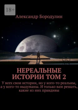 Нереальные истории, аудиокнига Александра Викторовича Бородулина. ISDN69530125