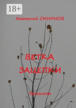 Ветка зацепки. Прозопоэзы Анатолий Смирнов