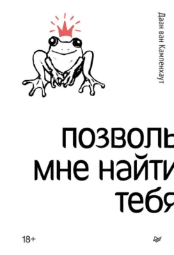 Четыре направления. Путеводитель по шаманскому колесу, аудиокнига . ISDN73964972