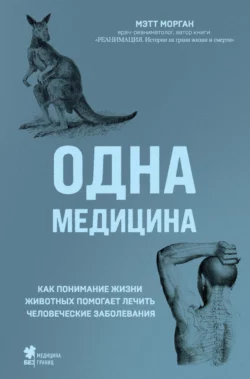 Реанимация. Истории на грани жизни и смерти, аудиокнига Мэтт Морган. ISDN49790722