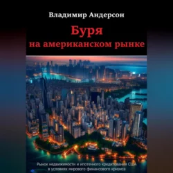 Буря на американском рынке, Владимир Андерсон