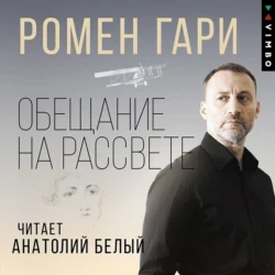 Дальше ваш билет недействителен, аудиокнига Ромена Гари. ISDN70986688